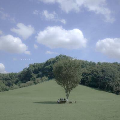 牛弹琴：特朗普的三重局